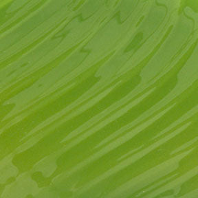 Dense Green