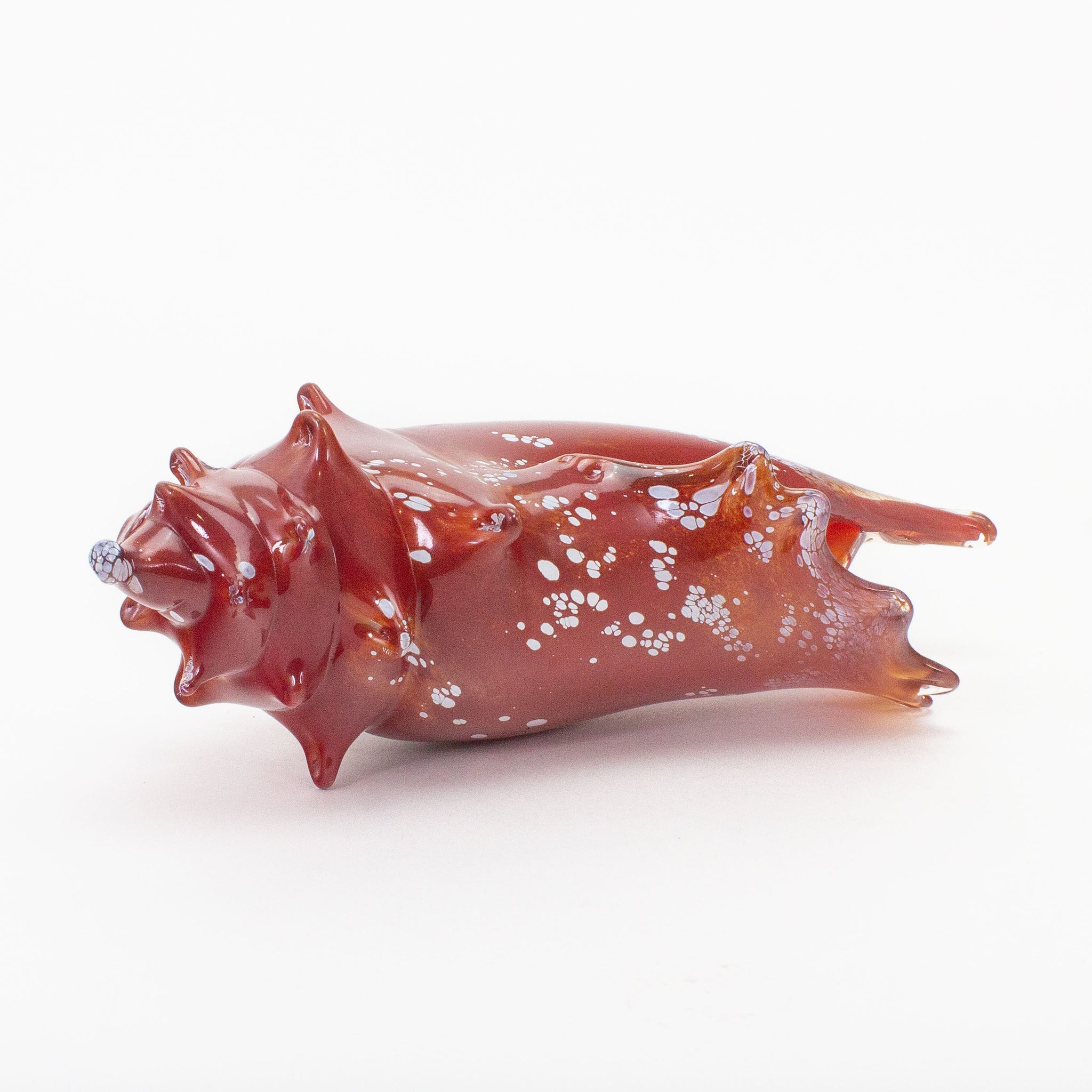 Red Conch Shell